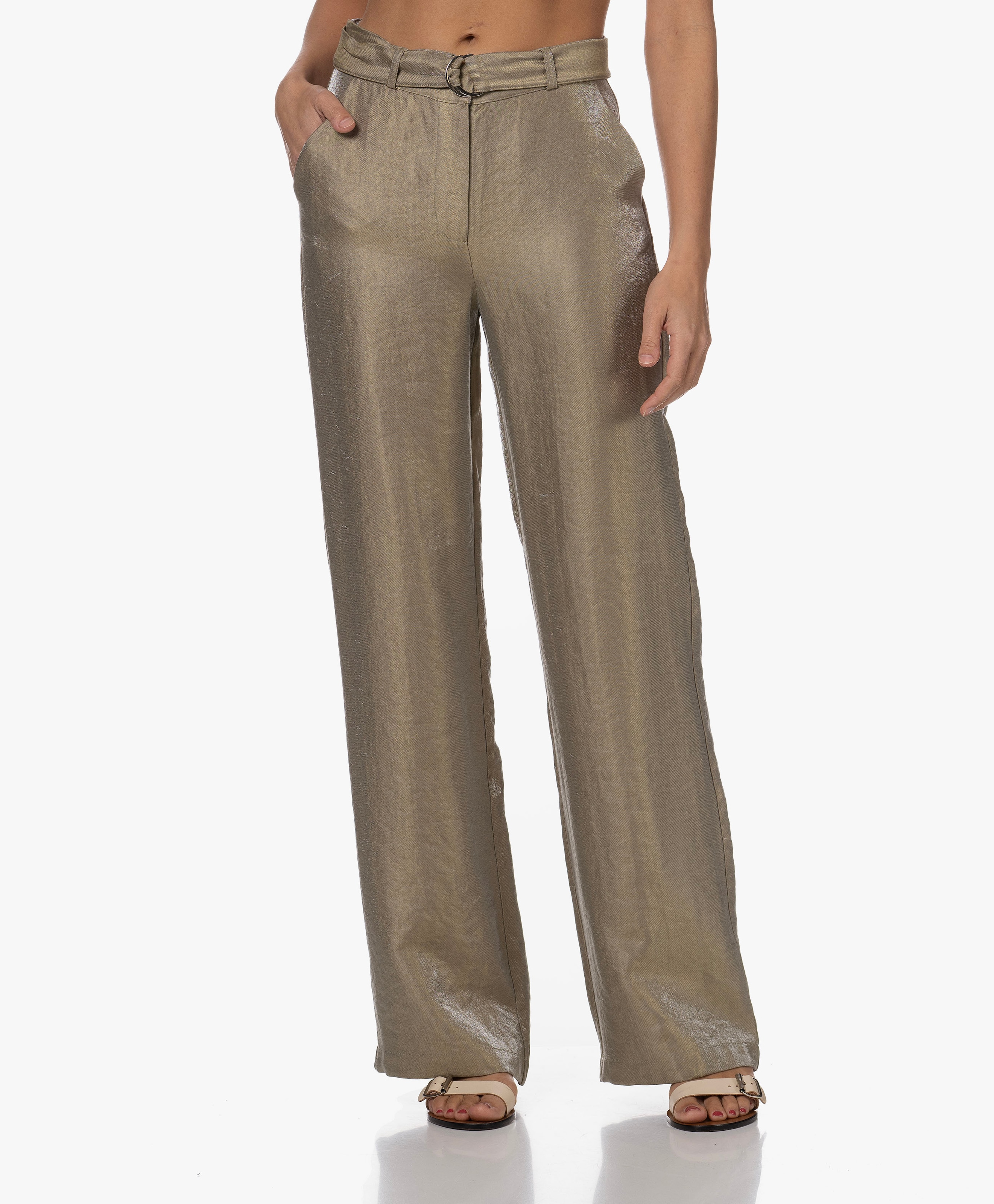 Willa Sparkling Twill Pants