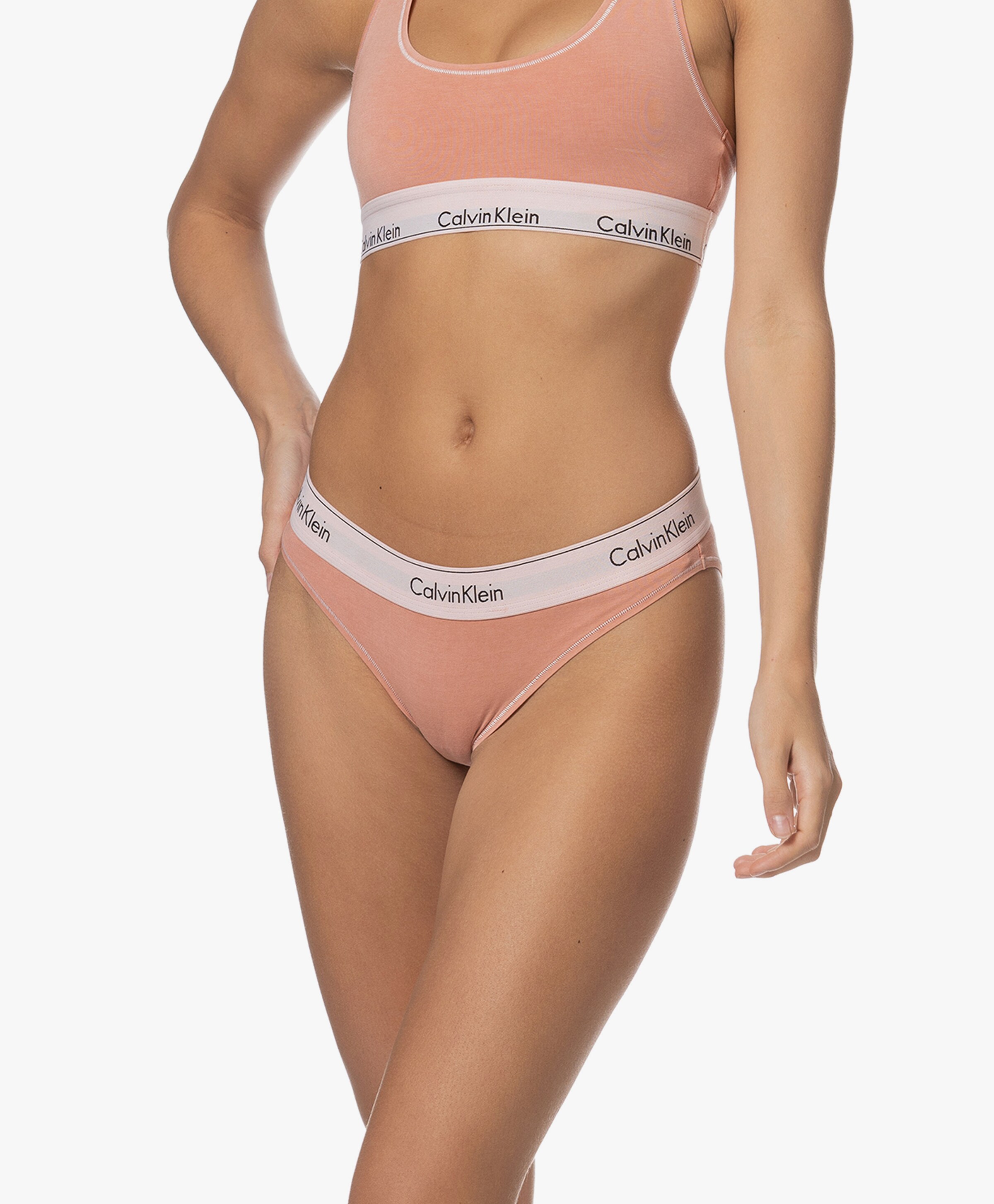 Calvin klein women's modern cotton bikini panty best sale