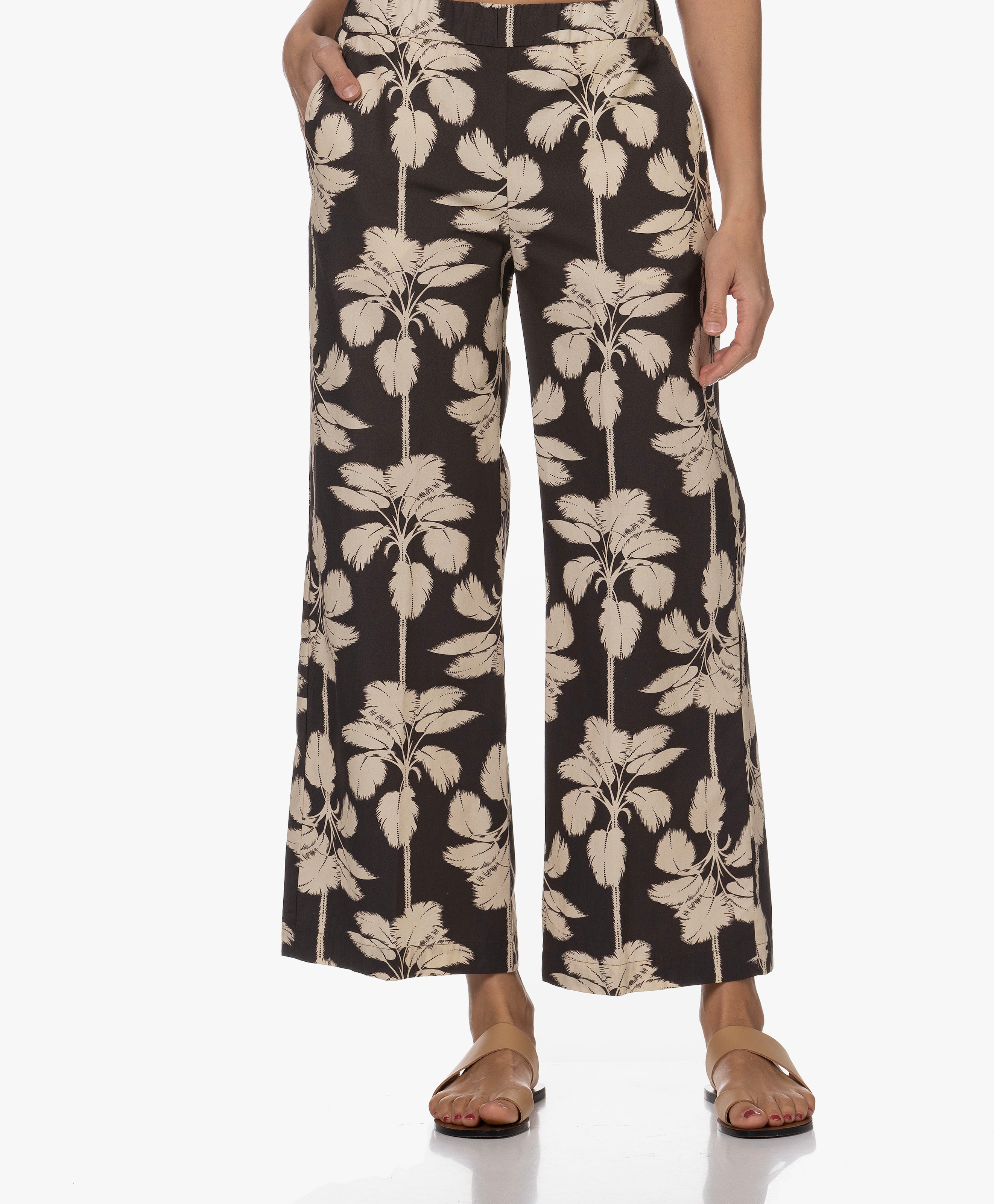 Pino Pantalon