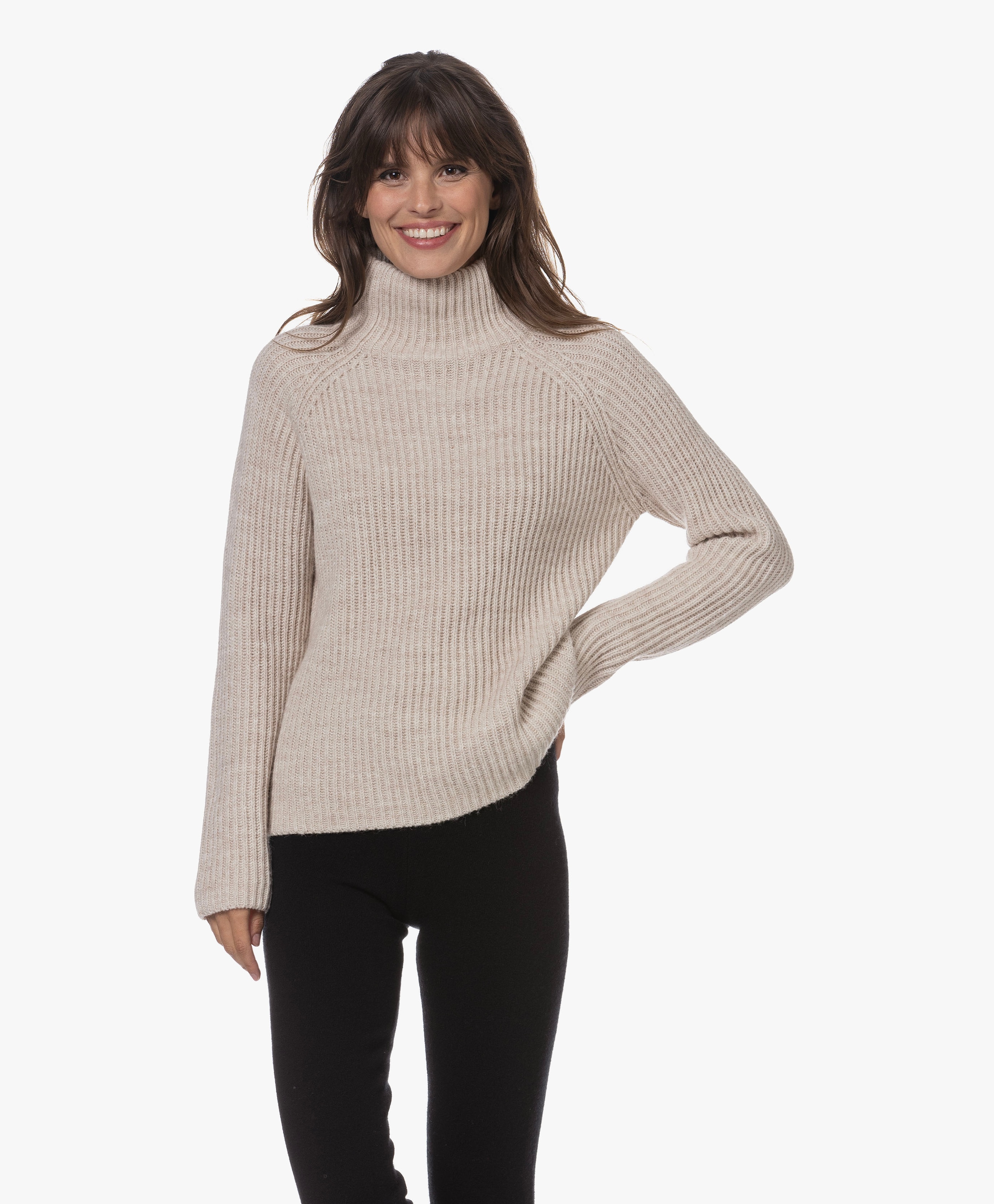 Arwen Rib Knit Turtleneck Sweater