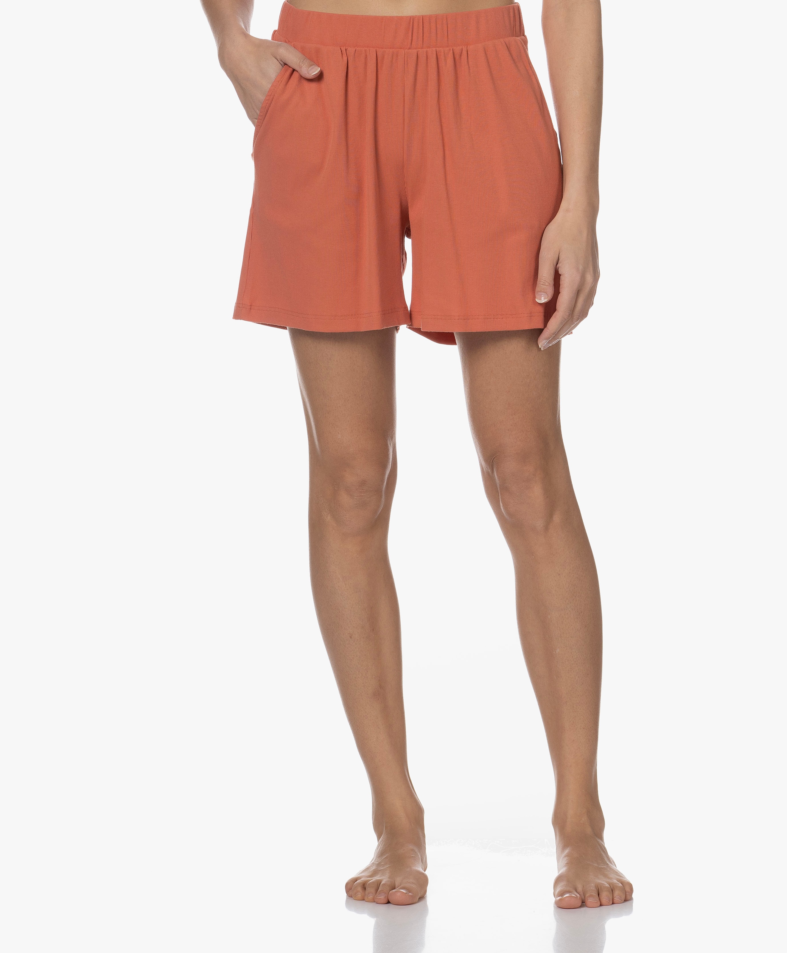 Sleep Lounge Cotton Blend Pajama Shorts