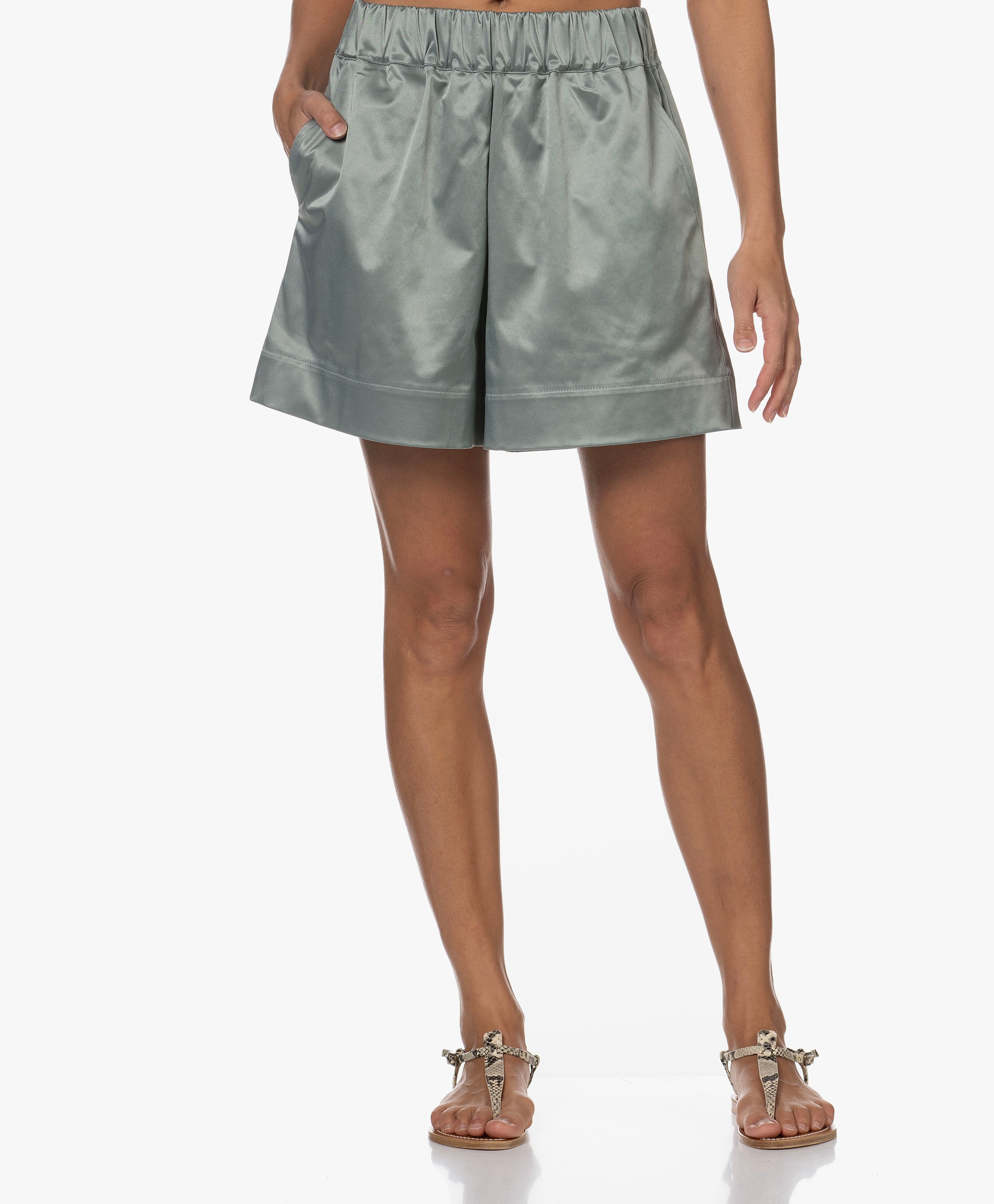 Moby Shiny Shorts